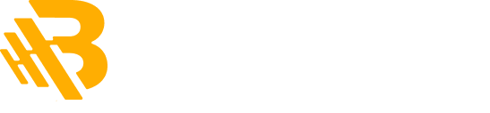 Logo bigtranz 1